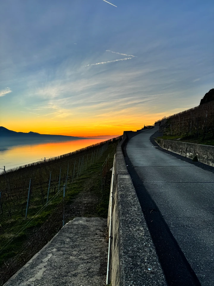 Chemin longeant des vignes et un lac à la lumière orangée du coucher du soleil.
