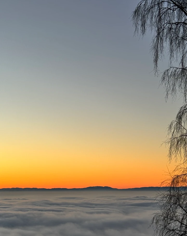 Coucher de soleil orangé au-dessus d’une mer de brume, avec la silhouette d’un arbre sur la droite.