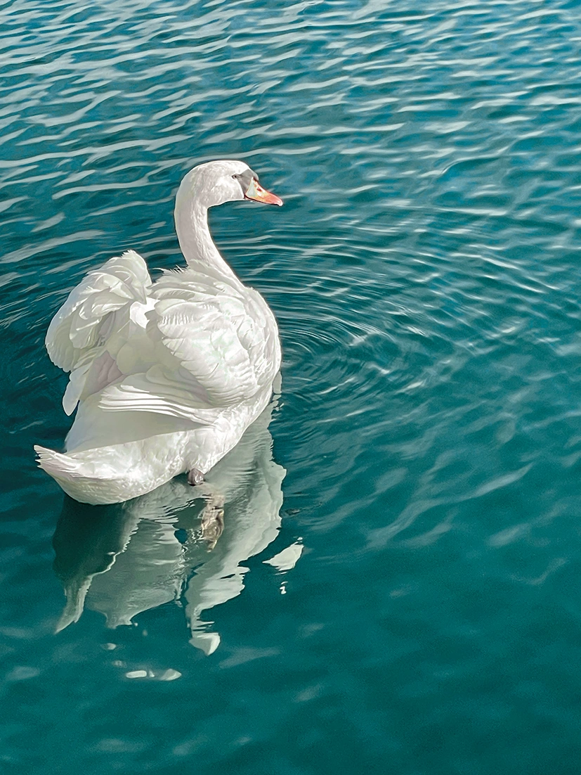 Photographies — visuel 4.